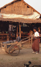 Kid on the wheel barrel at the refugee camp market